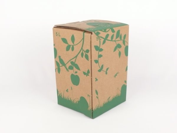 Karton Bag in Box 5 Liter braun-grün, Saftkarton, Faltkarton, Apfelsaft-Karton, Saftschachtel, Schachtel. - 2